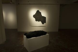 Ingrid Bachmann: Counterpoint, installation view
