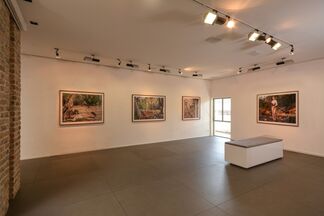 Itamar Freed: "Birds of Paradise", installation view