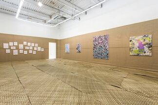 Natural Selection, installation view