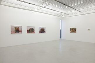 Transportable Landscapes . Cover, installation view
