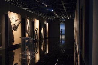Pan Gongkai and Clifford Ross: Alternate View, installation view