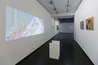 Les Oracles, installation view