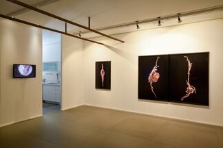 Pinpoint: Hilla Ben Ari, Sheffy Bleier, installation view