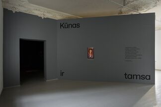 Body and Darkness, installation view
