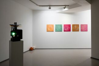 Brian O'Connell | Palomar, installation view