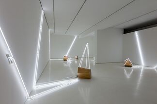 Arboreal, installation view