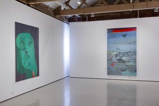 Clive van den Berg: Land Throws Up A Ghost, installation view