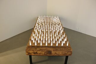 Bruce Munro, installation view