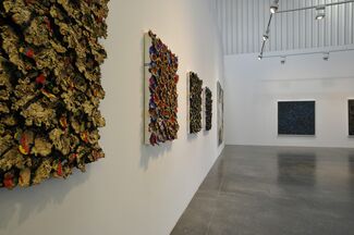 Nabil Nahas - Palms and Stars, installation view