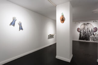 FERINE - Saelia Aparicio & Paloma Proudfoot, installation view