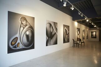 NGANGK KOORT BOODJA / MOTHER HEART LAND (in collaboration with Guy Hepner Gallery, Los Angeles, USA), installation view