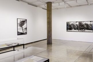 Lorraine O’Grady: Where Margins Become Centers, installation view