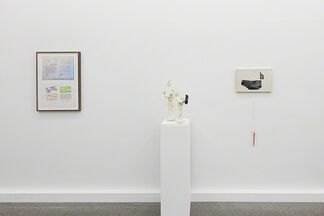 TEACHING STONES  TO SAY FRIENDLY WORDS, installation view