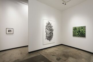 Eric Elliott: "Overgrown", installation view