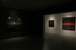 Dia Escuro, Noite Clara, installation view