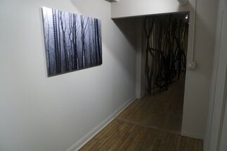 Lisa Stefanelli: Whose These Are, installation view