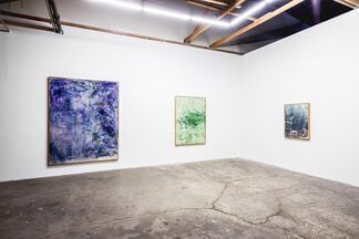 The Nature Of Breathing Salt, installation view