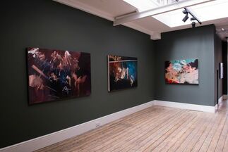 The Chosen Form of Your Destroyer, installation view