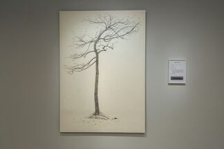 Two Trees and a Mountain ─ Shi Jin-Hua Solo Exhibition, installation view