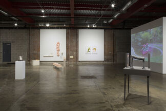 Have + Hold, installation view