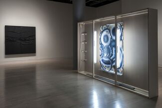 Catch as Catch Can, installation view