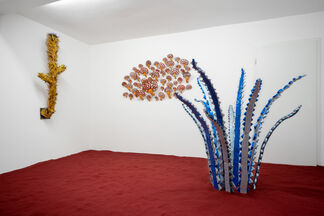 Giovanni Vetere: Fleas in my Scales, installation view