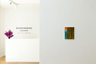 Shara Hughes: Bold Suns, installation view
