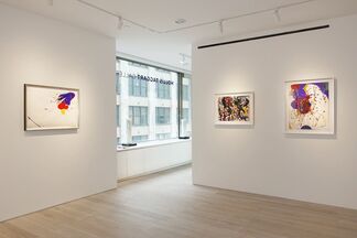 Between Tachisme and Abstract Expressionism: Bluhm, Francis, Jenkins, installation view