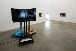 If She Hollers, installation view