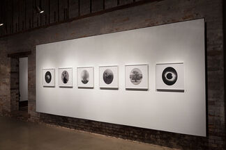 "Claw, Shine, Gloam and Vesper" new work by Wendy Given, installation view