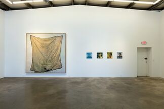Through Thick and Thin, installation view