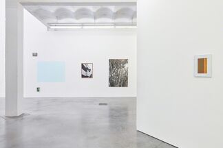 VISCERAL COLOUR FIELDS, installation view