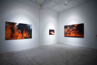 Truth by Wang Sishun, installation view