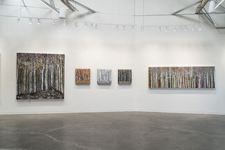 Luster, installation view