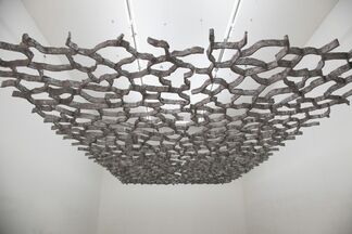 Zhou Wendou: BORDERLESS, installation view