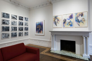 Noel Grunwaldt: For the Birds | Harper's Apartment, installation view