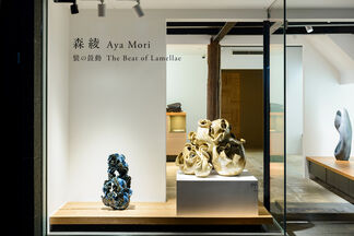 Aya Mori: The Beat of Lamellae, installation view