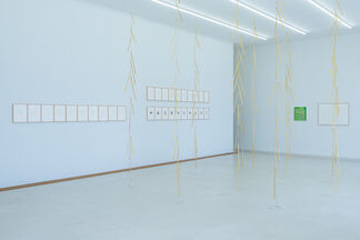 Jürgen Partenheimer »Metaphysik«, installation view