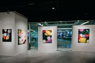 Gaël Davrinche: Contemplations Solo Exhibition, installation view