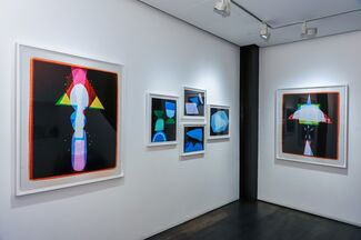 The Arrival, installation view