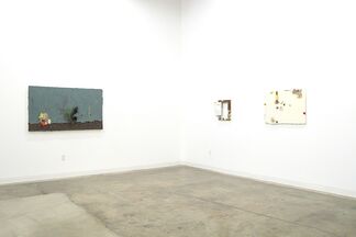 Jennifer Wynne Reeves: A Bolt of Soul: Grooved Foreheads and Dog Teeth, installation view