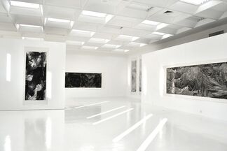 Yu Hanyu: Force of Nature, the Power of the Brush, installation view