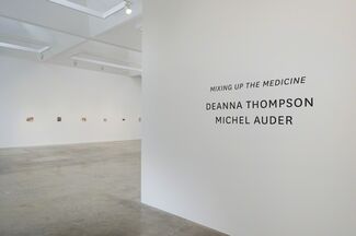 Deanna Thompson | Michel Auder    MIXING UP THE MEDICINE, installation view