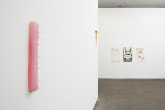 What Is To Cure, installation view