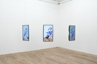 The Bliss of Metamorphing Collapse, installation view