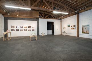 The Panacea Project, installation view