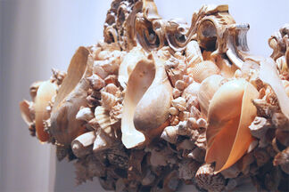 Biology & The Baroque, installation view
