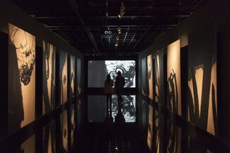 Pan Gongkai and Clifford Ross: Alternate View, installation view