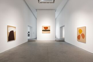 Surface Issues, installation view