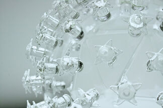 Impermanence: The Art of Microbiology, installation view